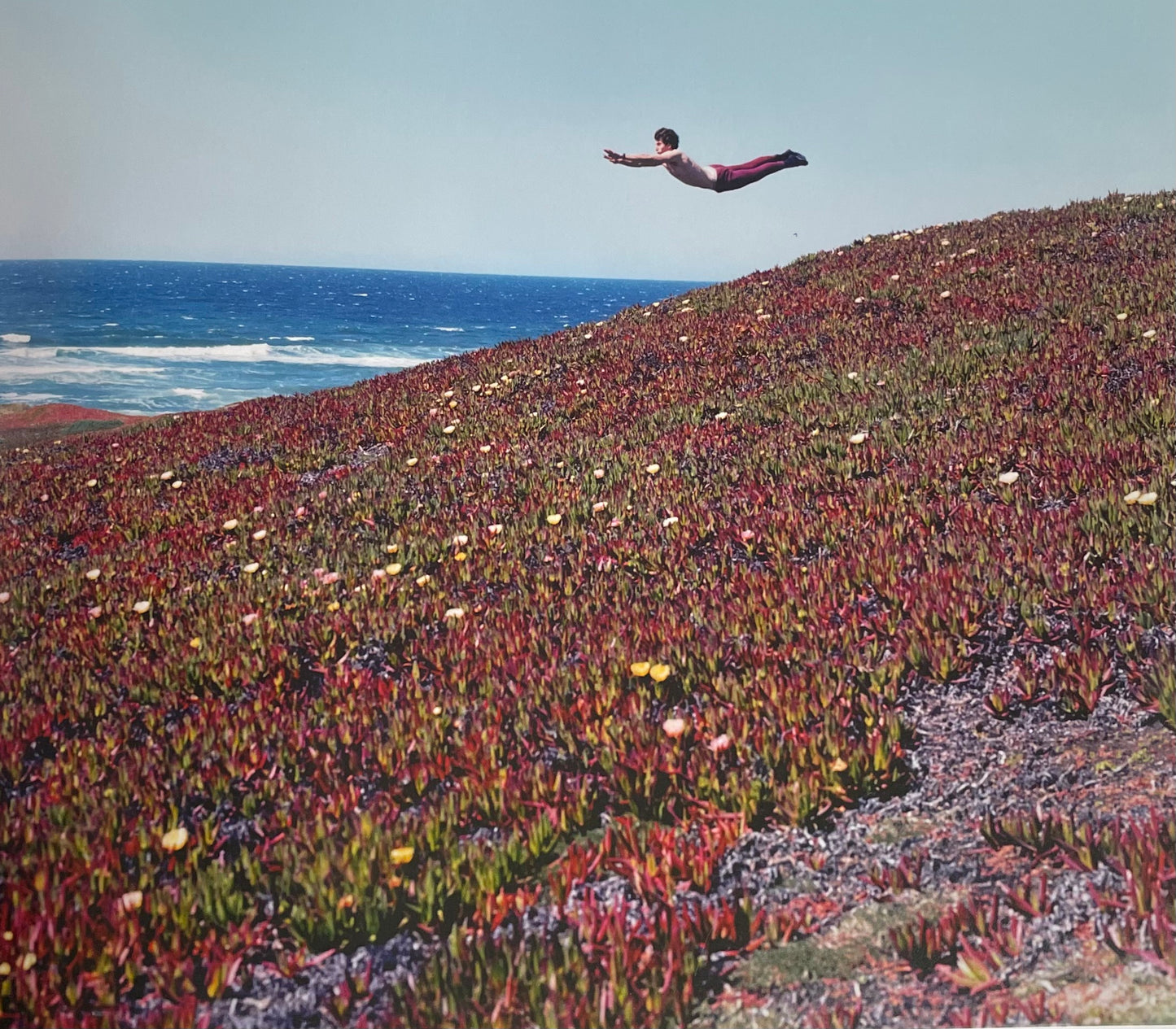 Flying Pictures by Daniel Gordon