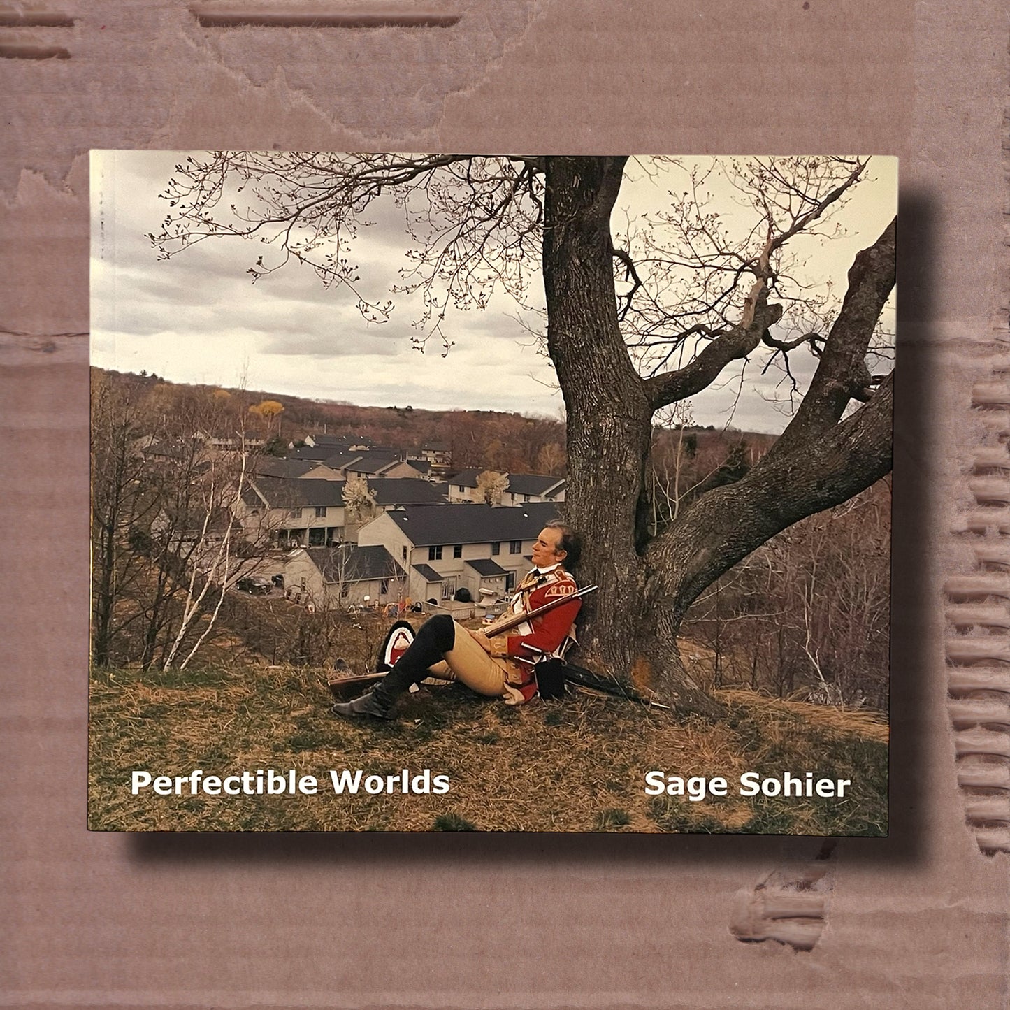 Perfectible Worlds by Sage Sohier