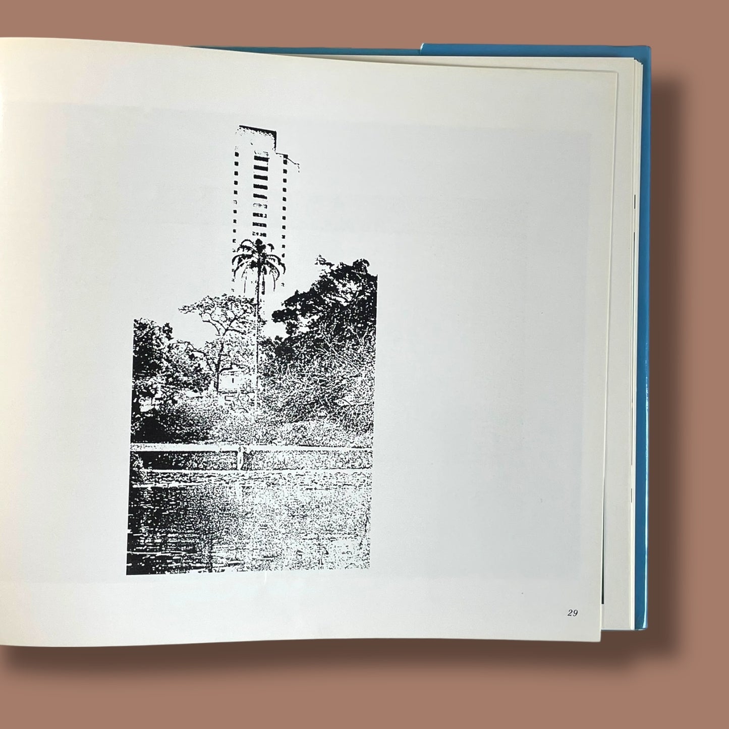 City In Focus by Peter Fischer & David Fryer (First Edition)