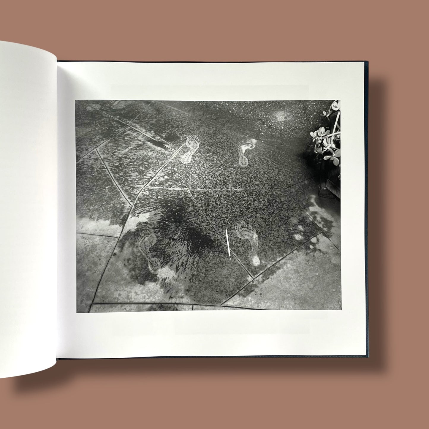 Evidence by Larry Sultan & Mike Mandel (Definitive Edition, 2024)