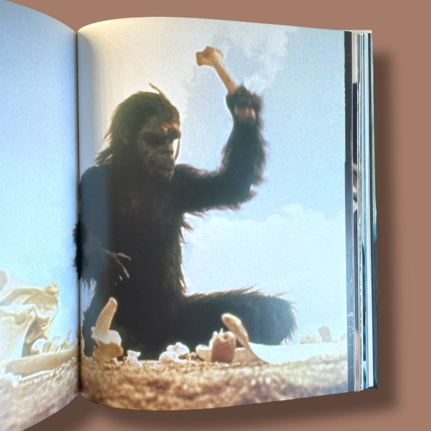 Stanley Kubrick | The Complete Films