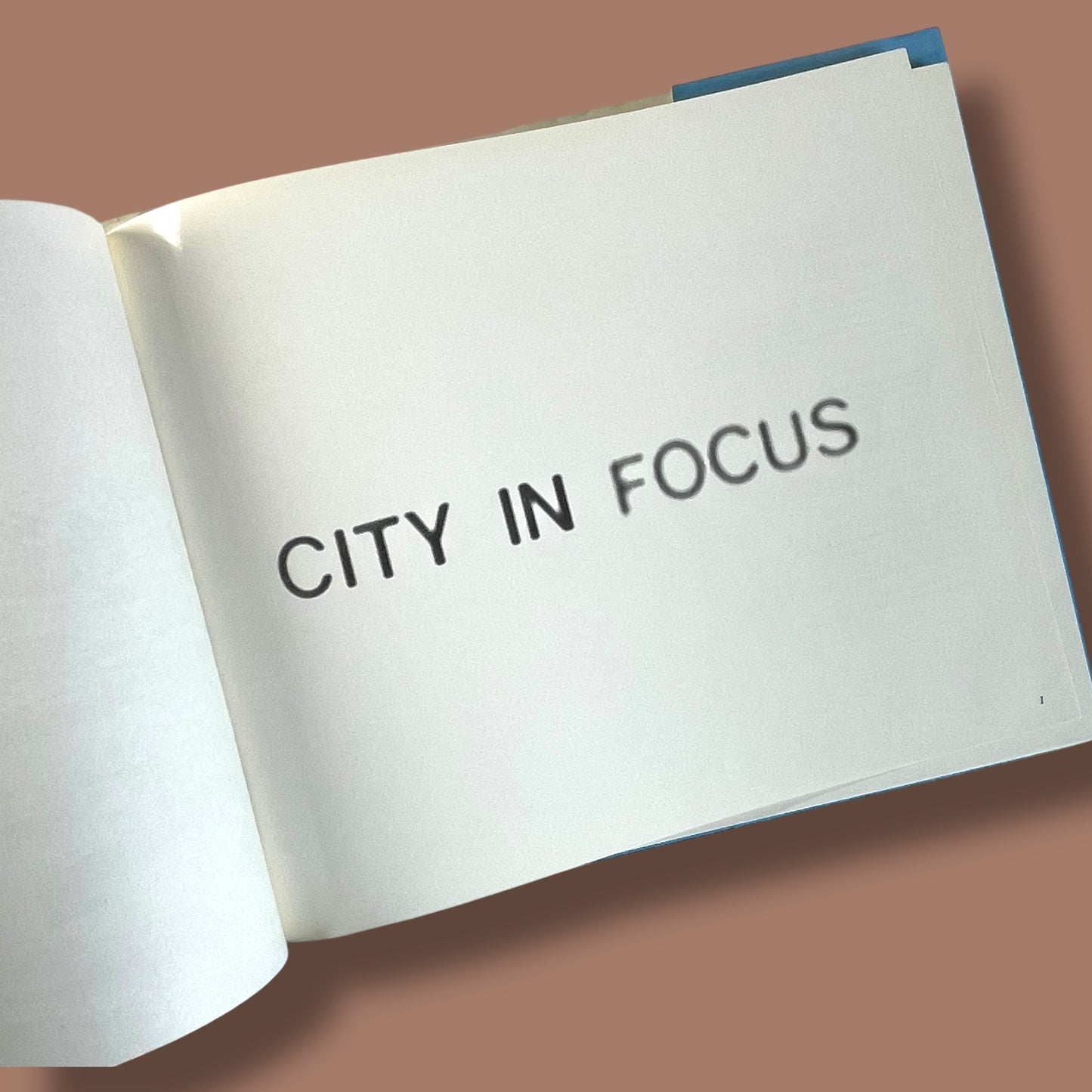 City In Focus by Peter Fischer & David Fryer (First Edition)