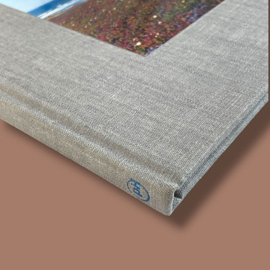 Flying Pictures by Daniel Gordon