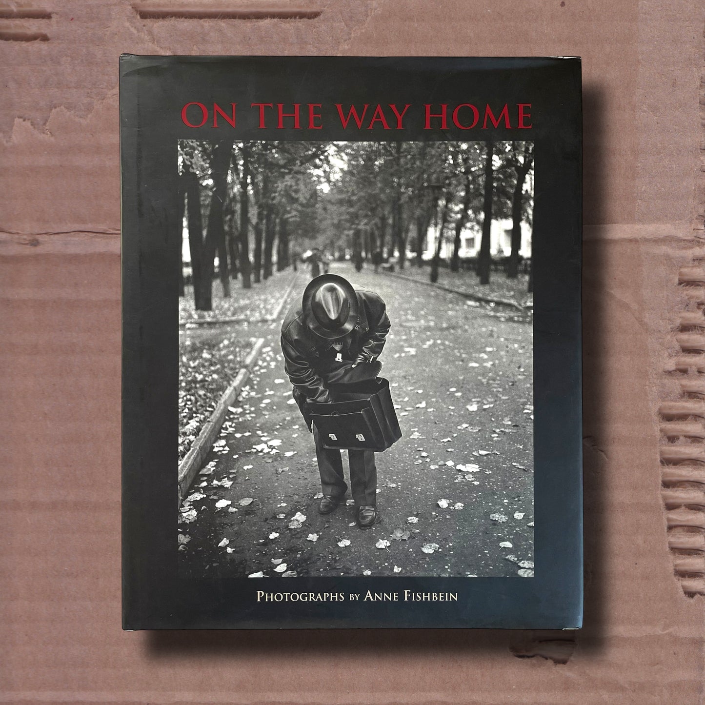 On the Way Home by Anne Fishbein