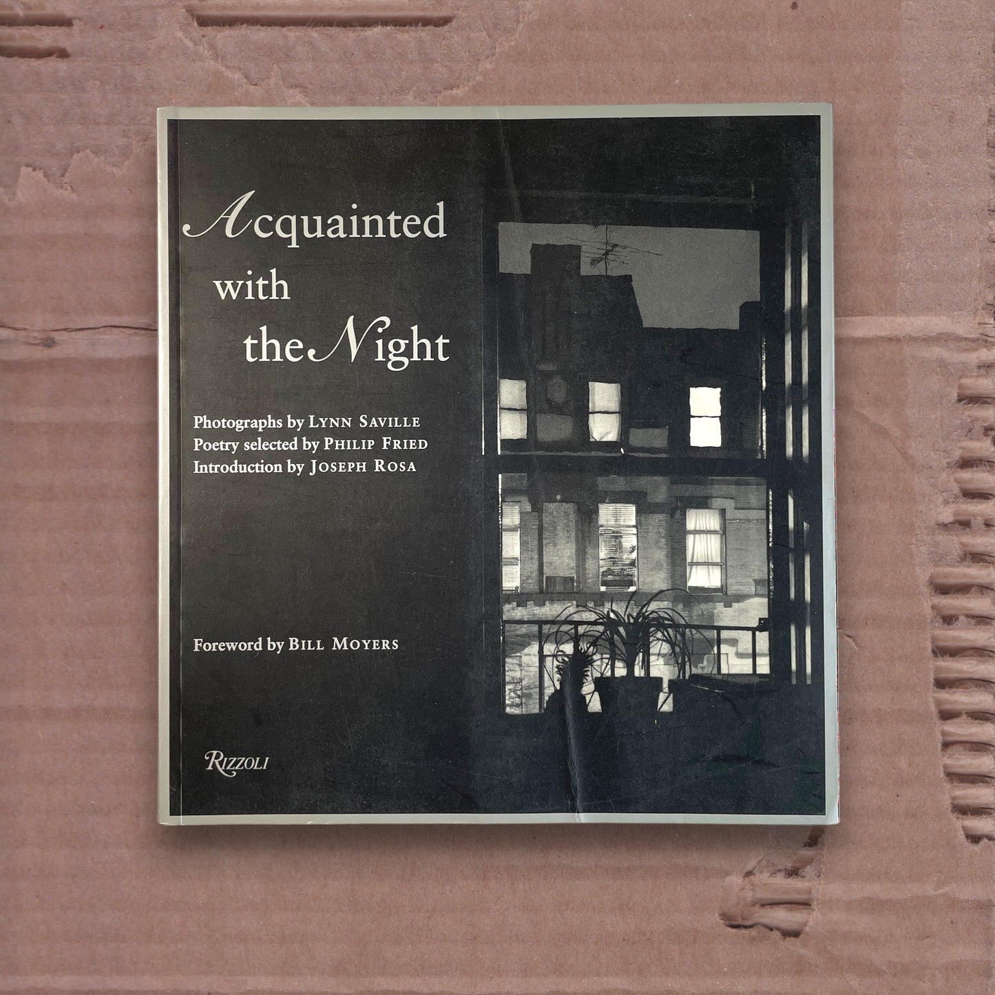 Acquainted with the Night by Lyn Saville