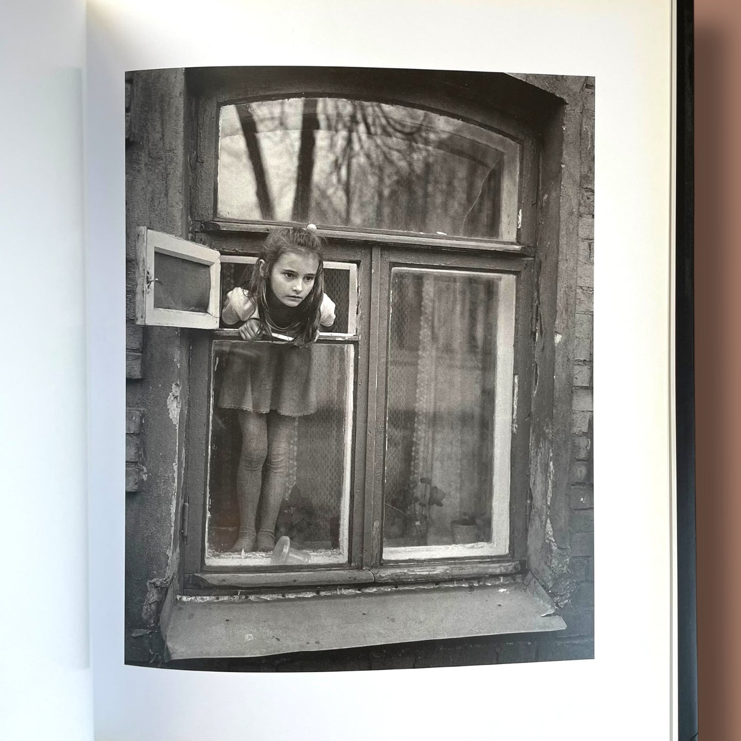 On the Way Home by Anne Fishbein