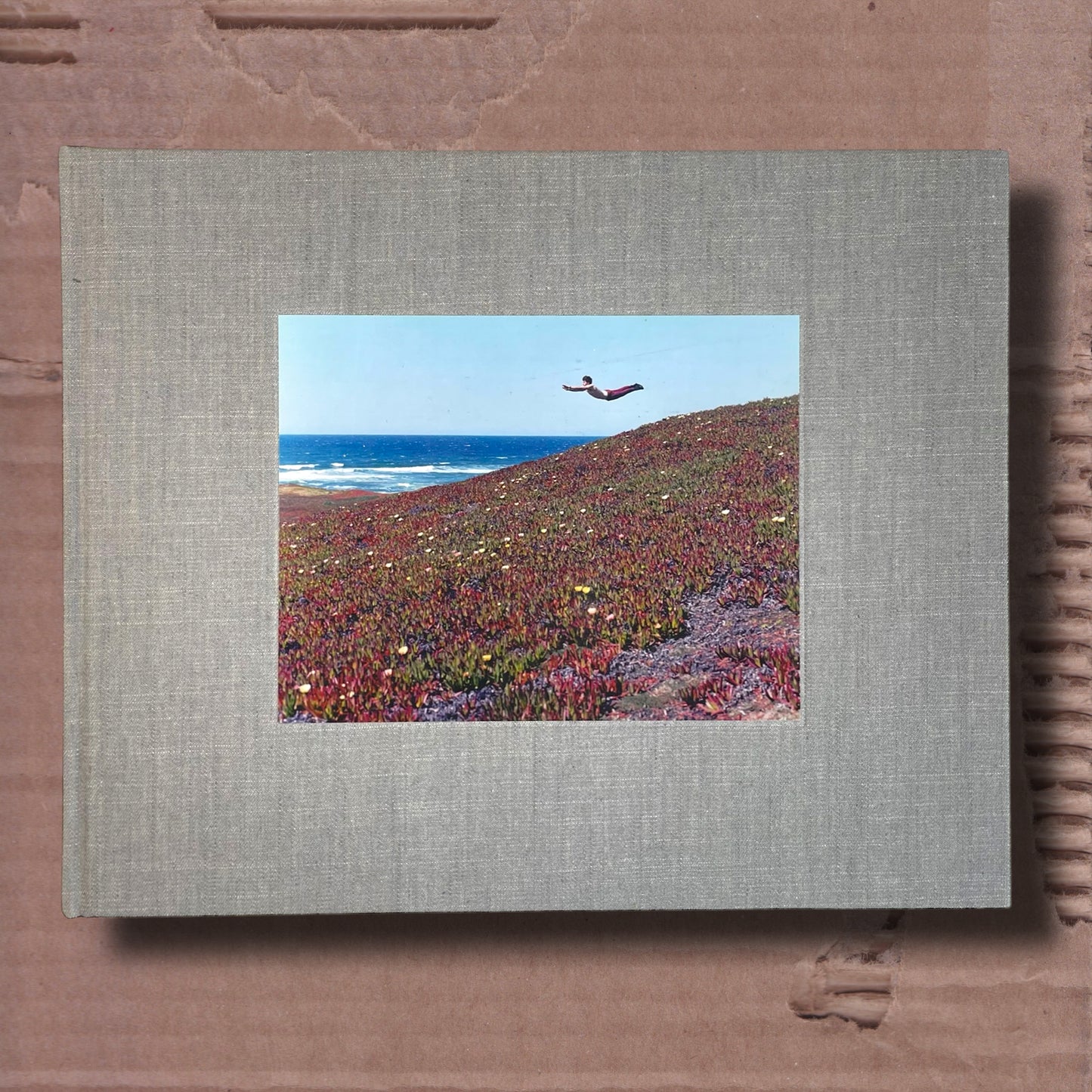 Flying Pictures by Daniel Gordon
